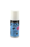 Insecticide Spcial Puces ORKA Jet Arosol picture